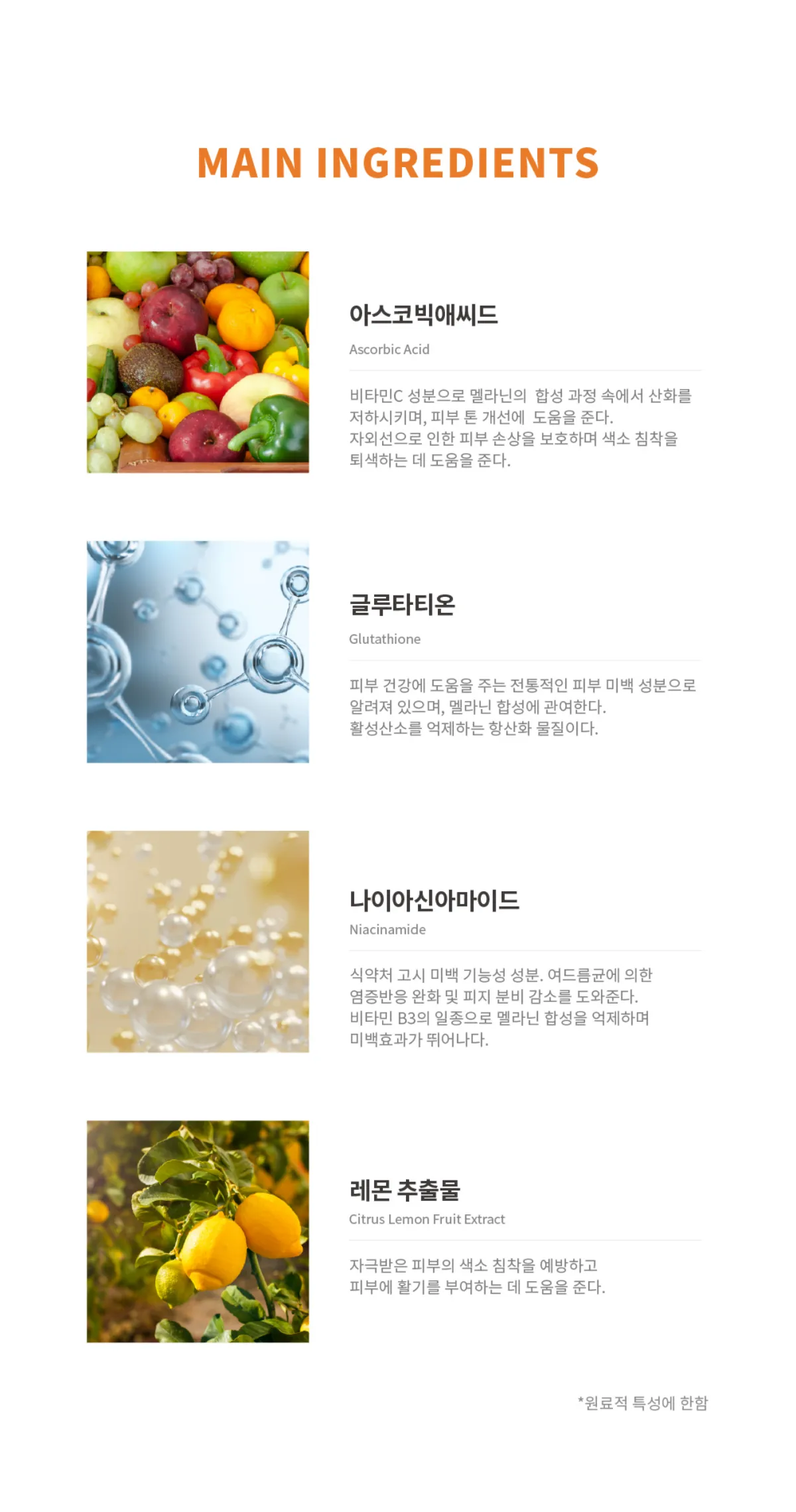 주요 성분 설명