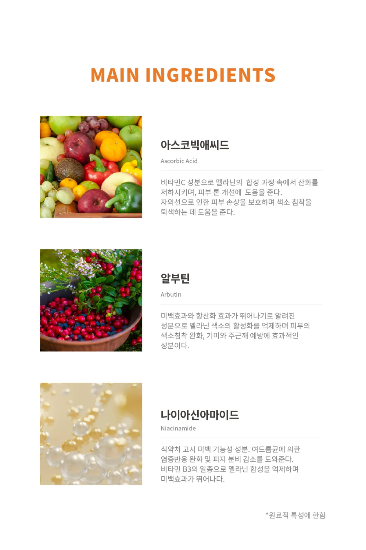 주요 성분 설명