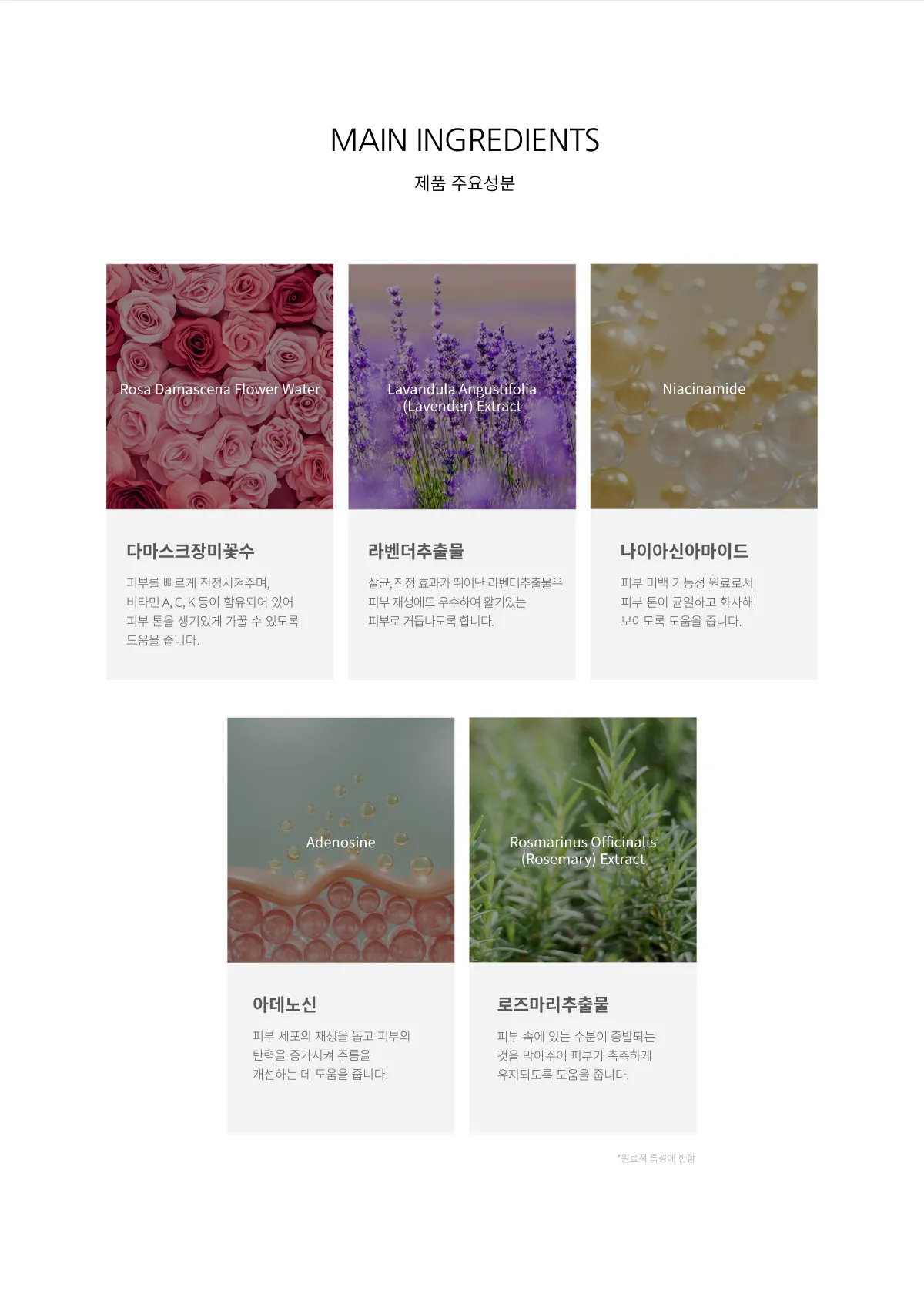주요 성분 설명