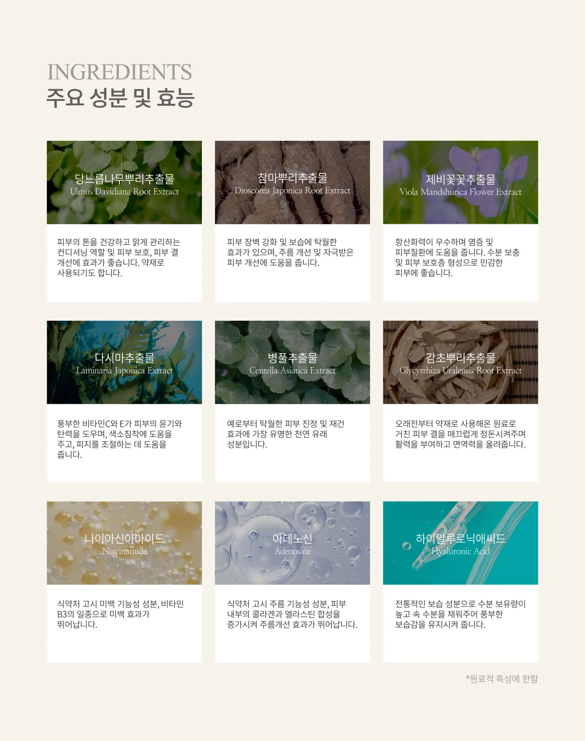 주요 성분 및 효능