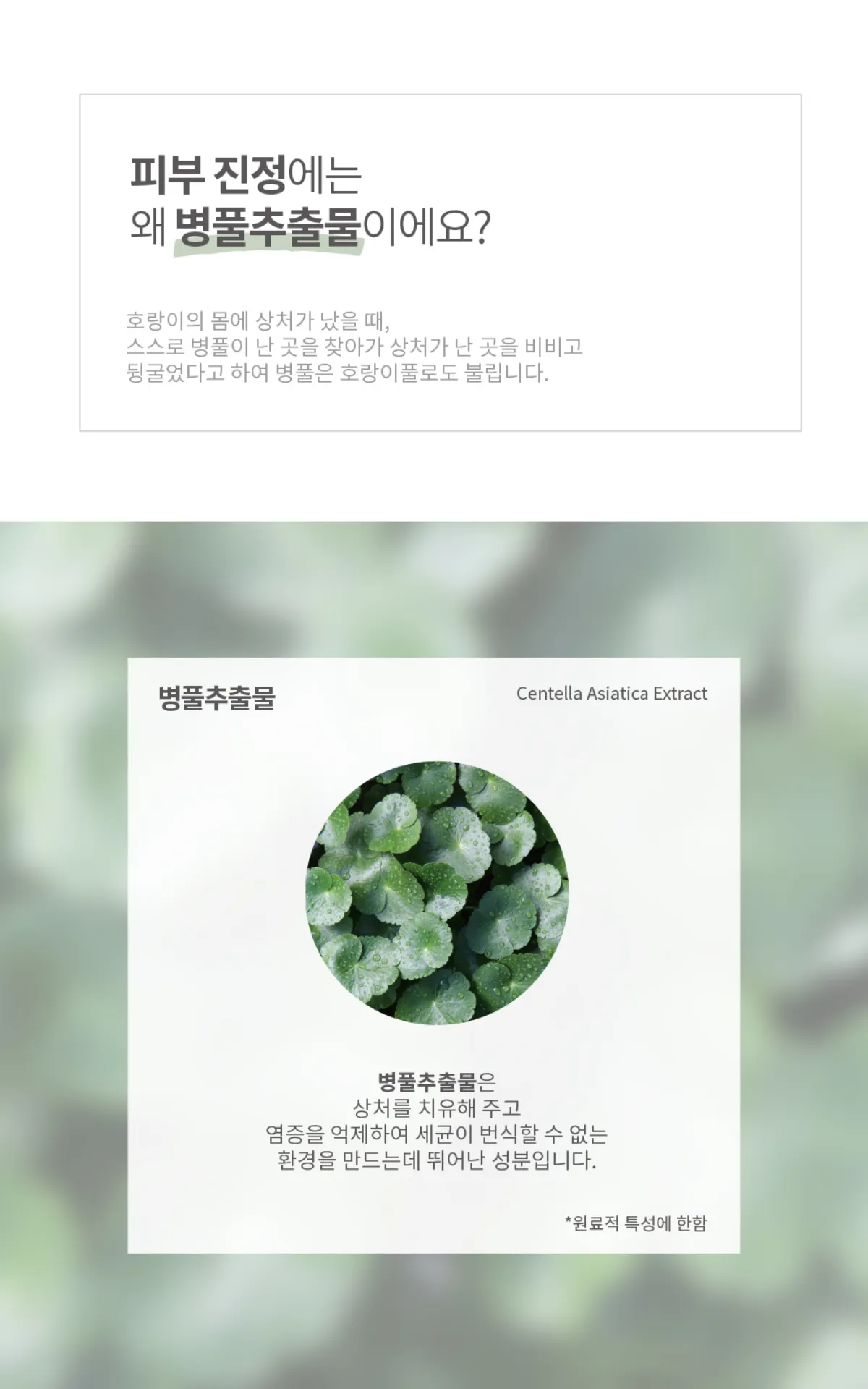 진정 및 수분 공급 설명