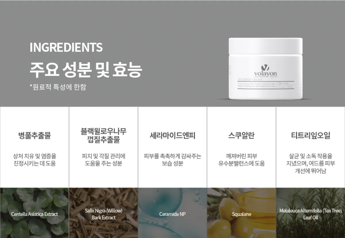 추천 피부 타입