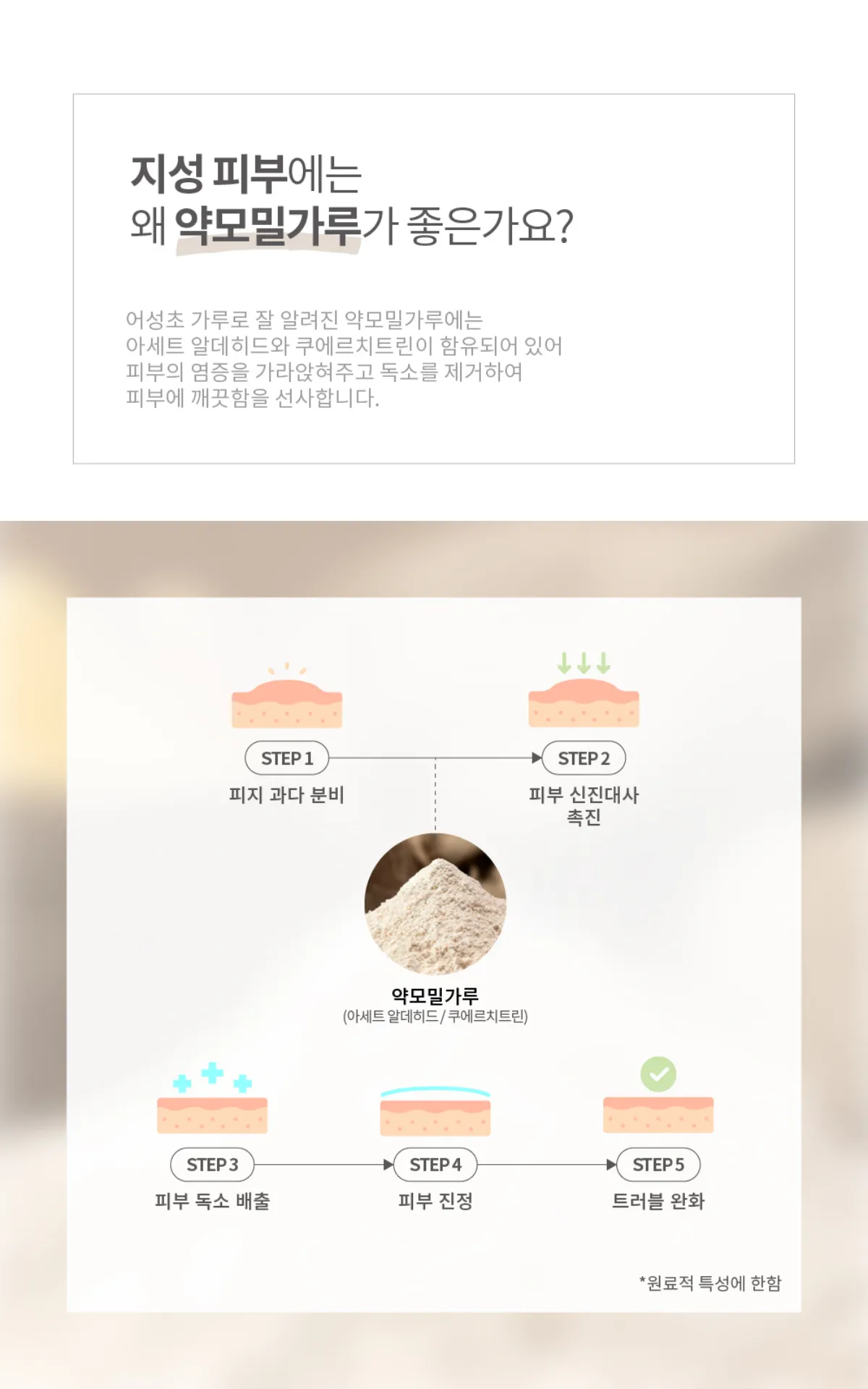 약모밀가루 설명