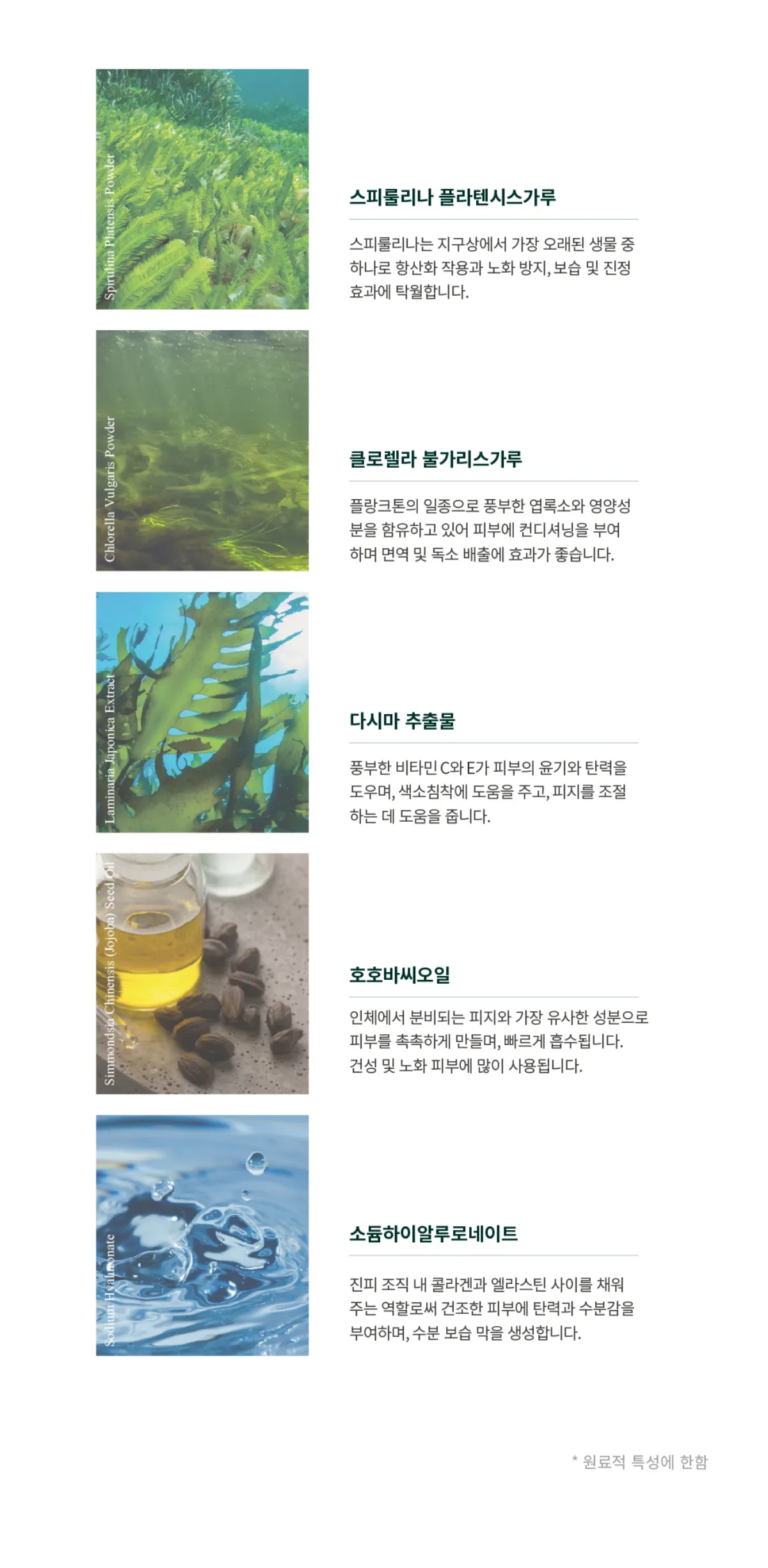 주요 성분 상세