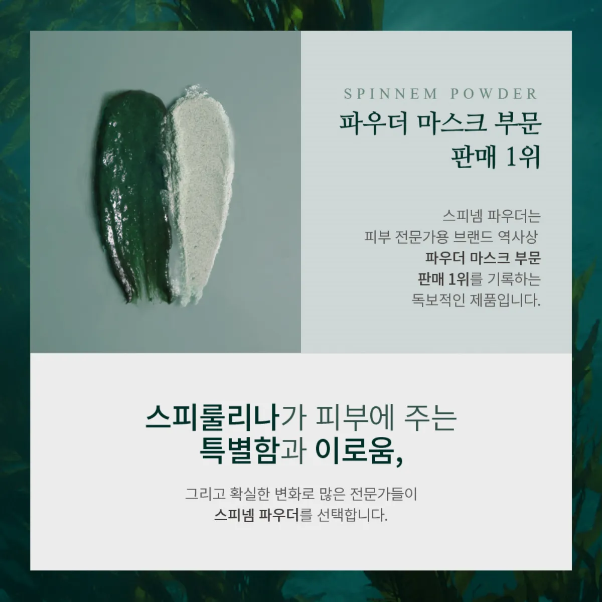 스피넴 파우더 핵심 효능