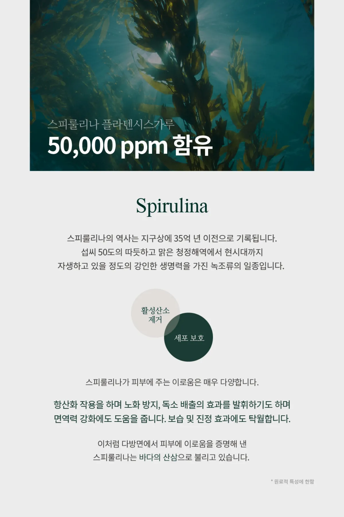 스피넴 파우더 상세 설명