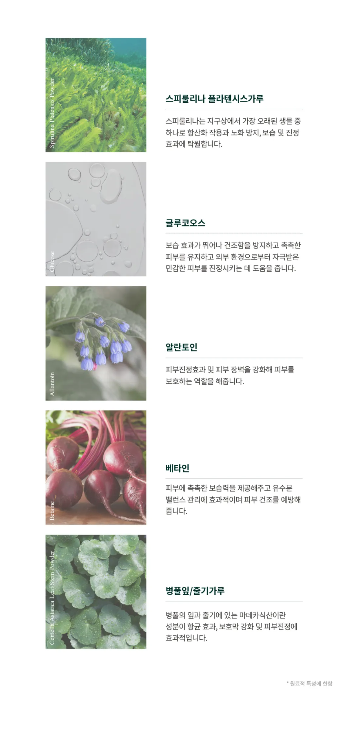 주요 성분 소개