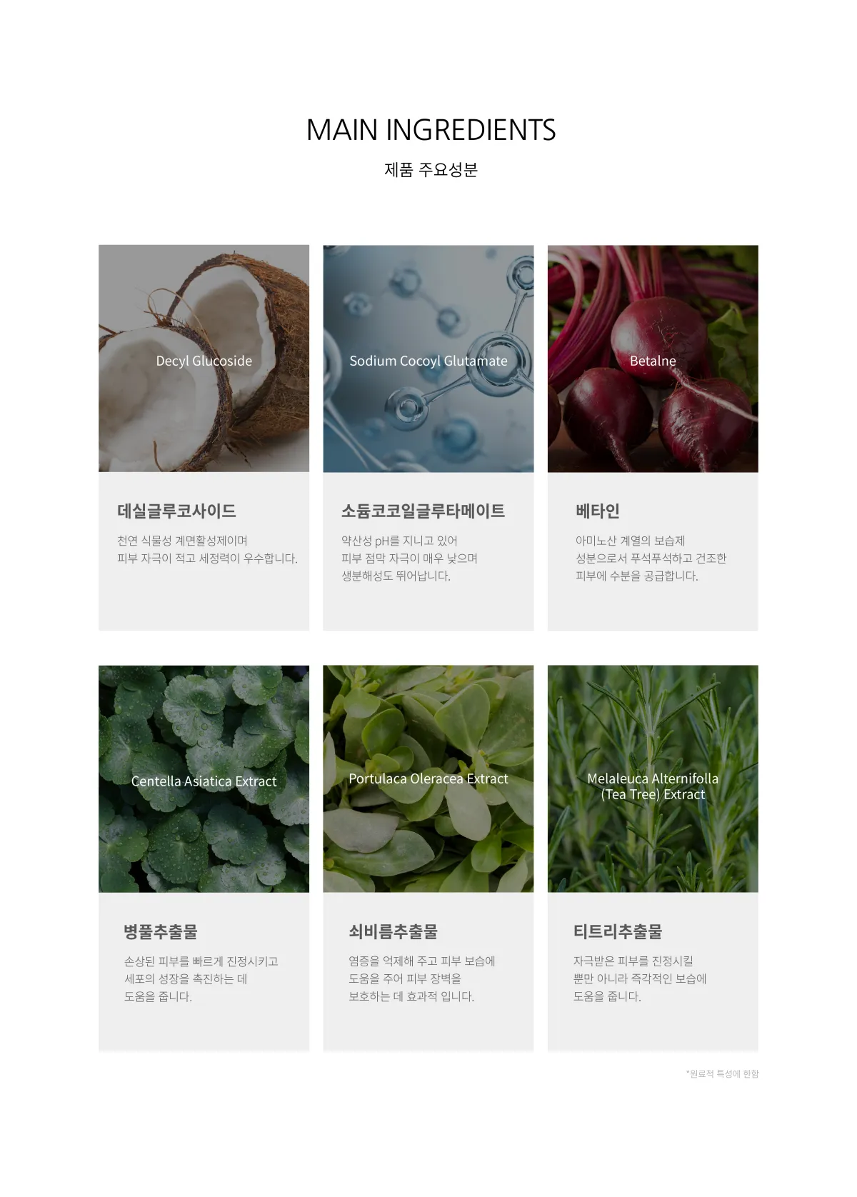 퍼플렌킨 주요 성분