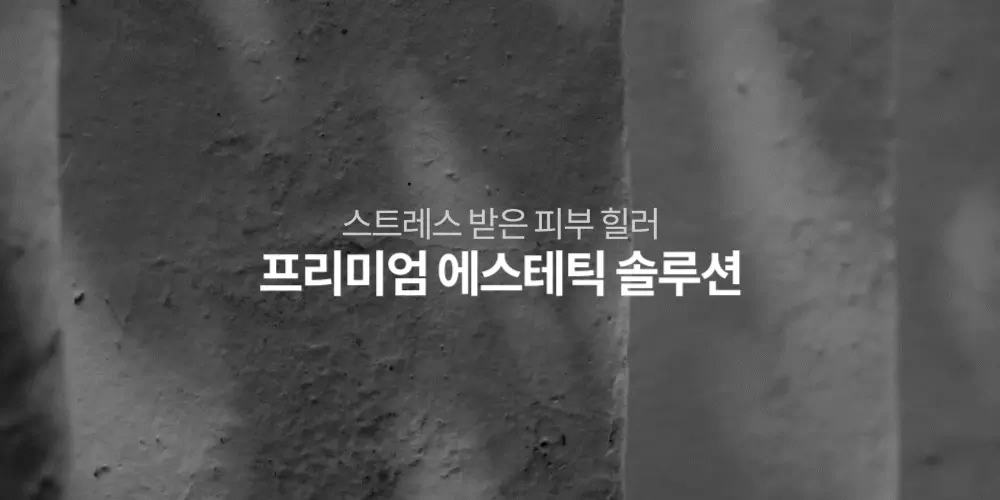 스토퀴렌 파우더 인트로