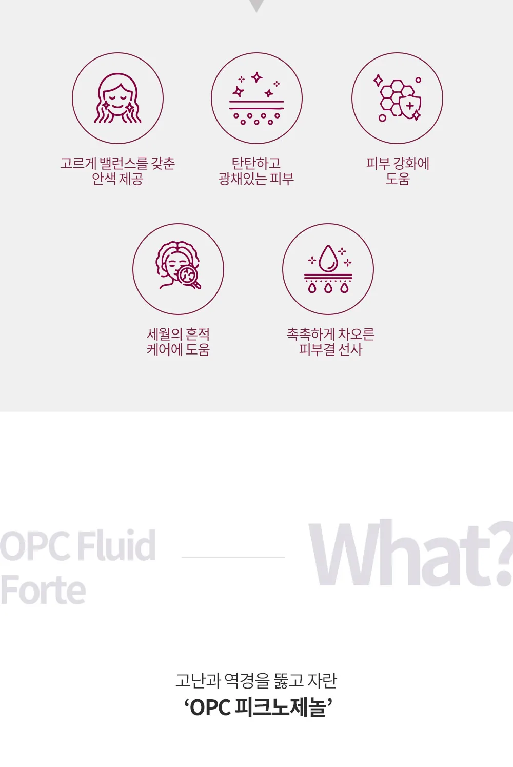 안색, 광채, 피부 보호 관련 설명