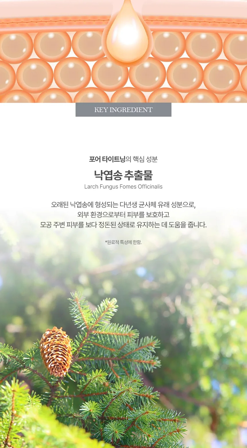 엔자임 필링 듀오 상세페이지 6