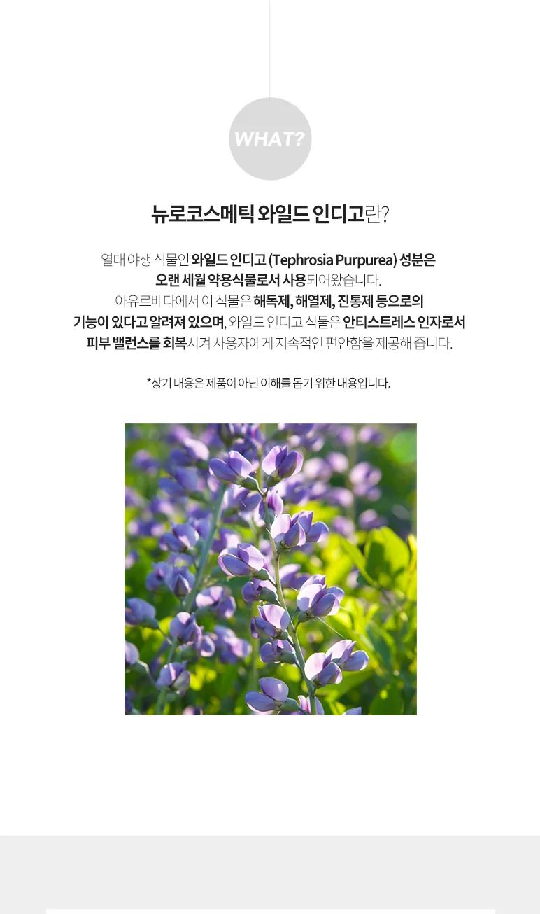 퓨리티 롤온 상세페이지 4