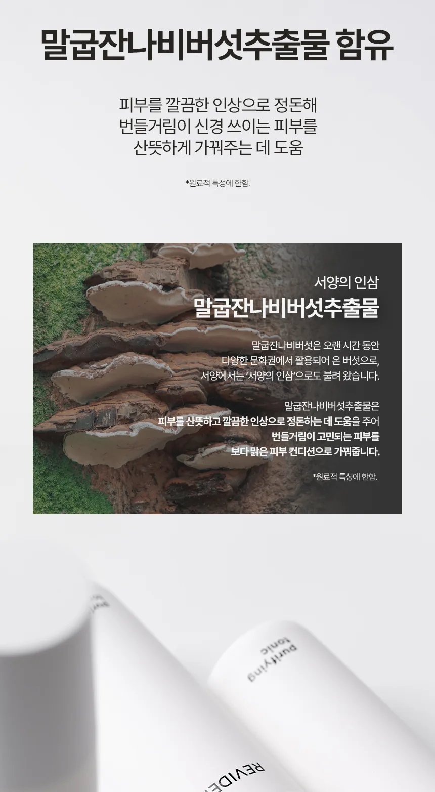 퓨리파잉 토닉 상세페이지 5