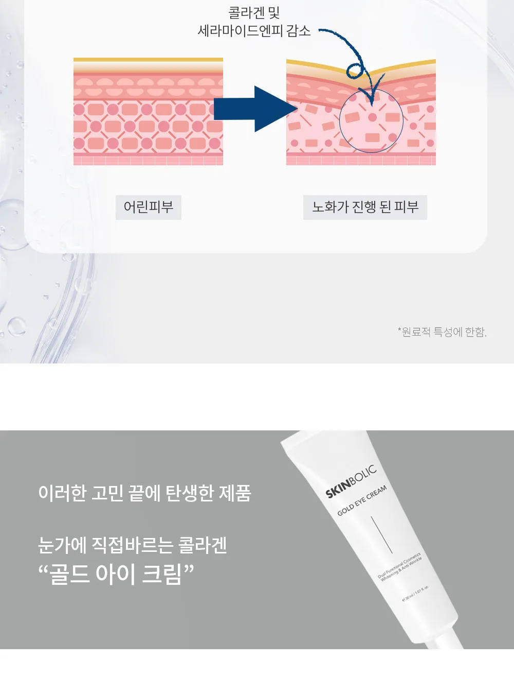 피부 탄력 메커니즘
