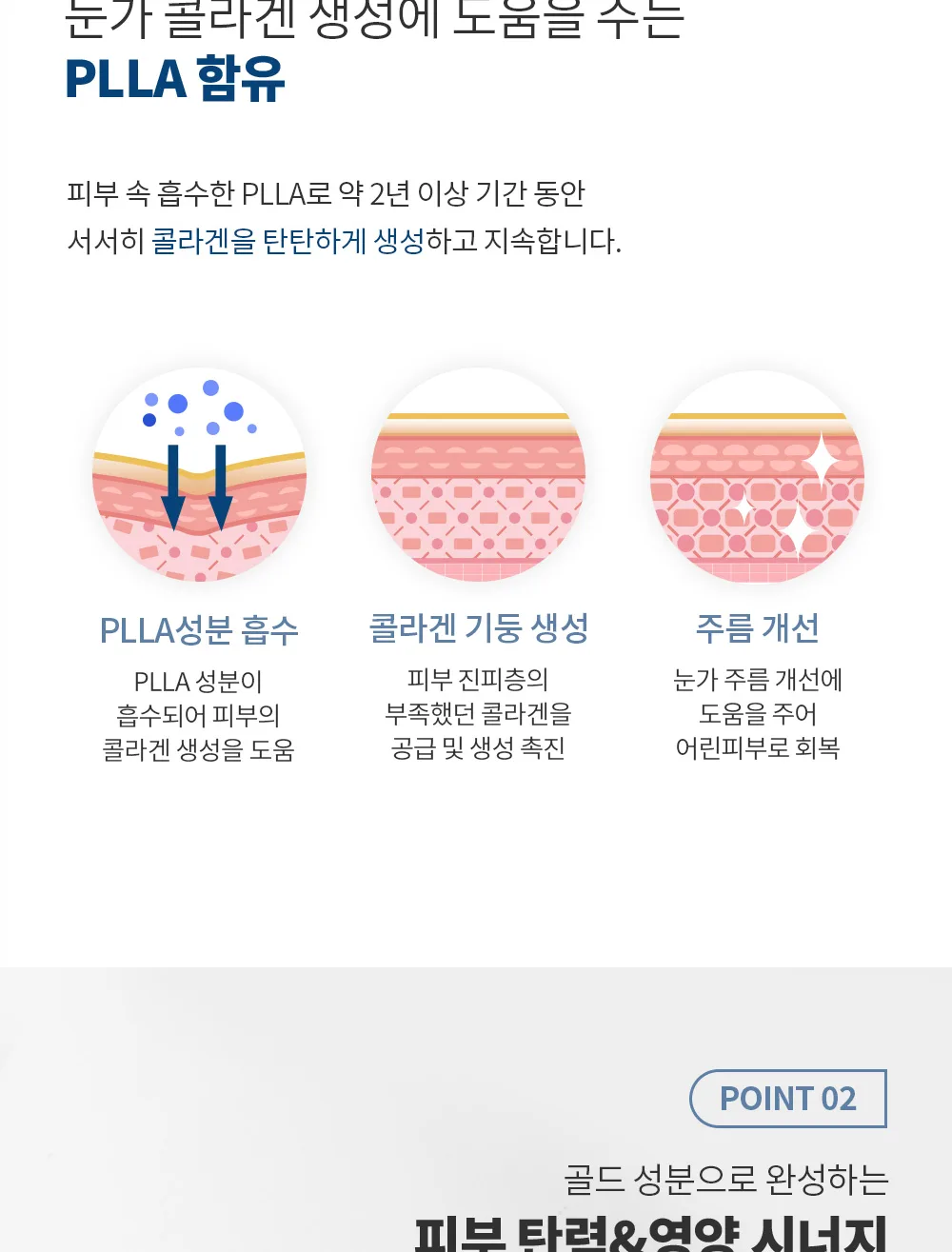 제형 및 흡수도