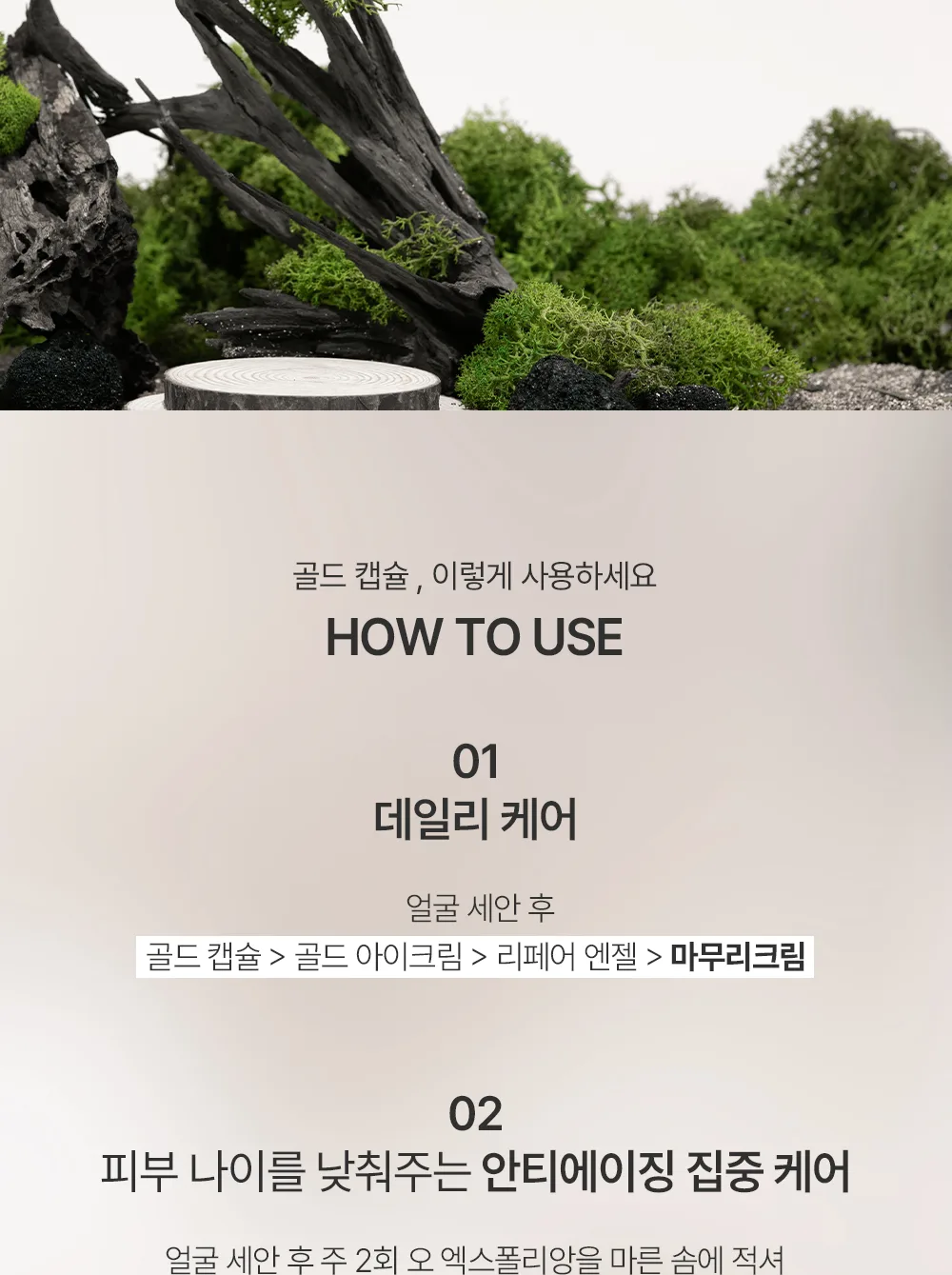 사용 가이드