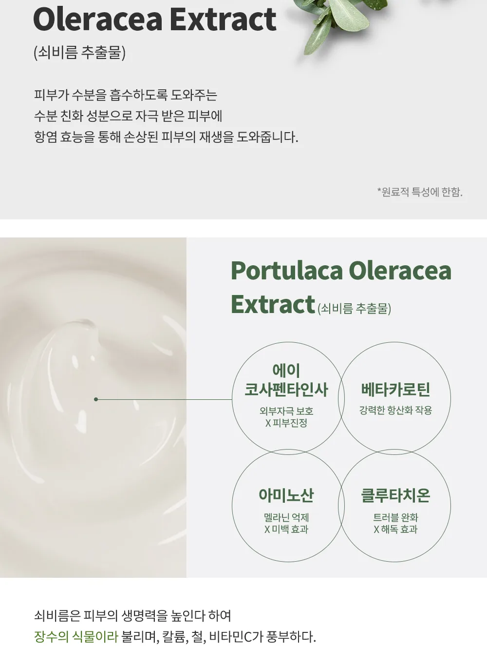 뉴트리 바이탈 크림 150ml 상세6