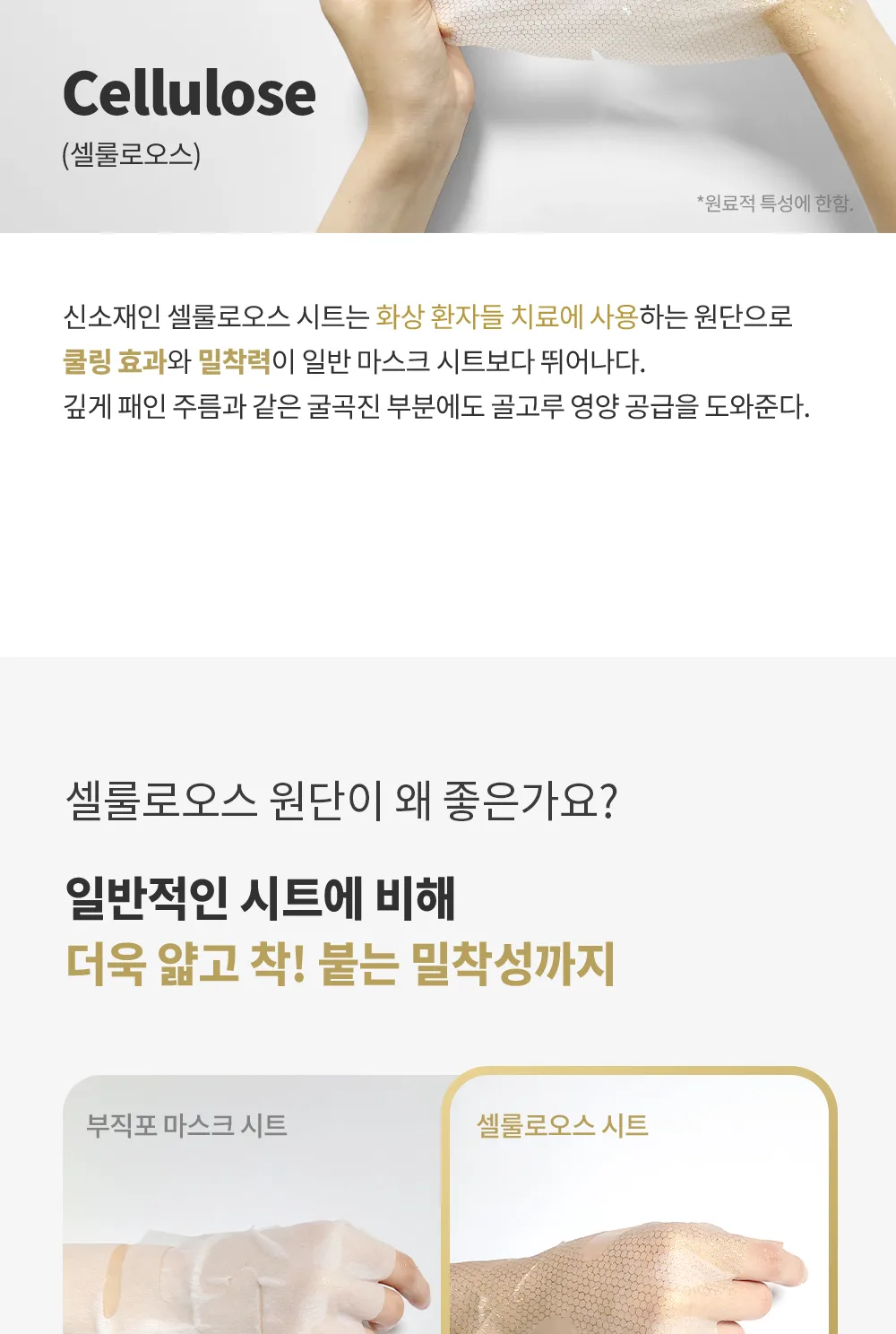 제형 안내