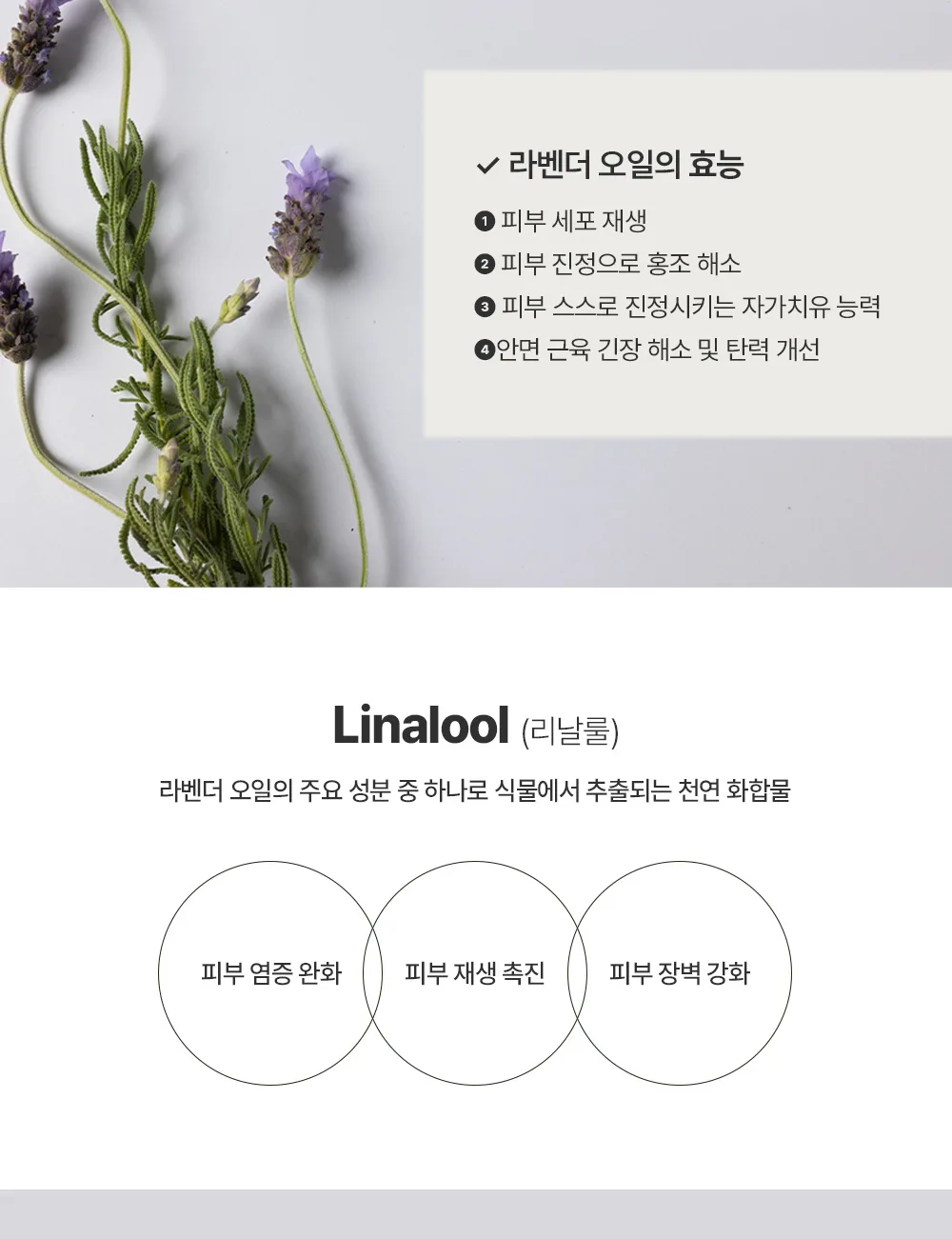 성분 안내