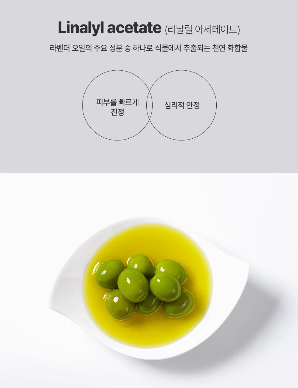 추천 피부 타입