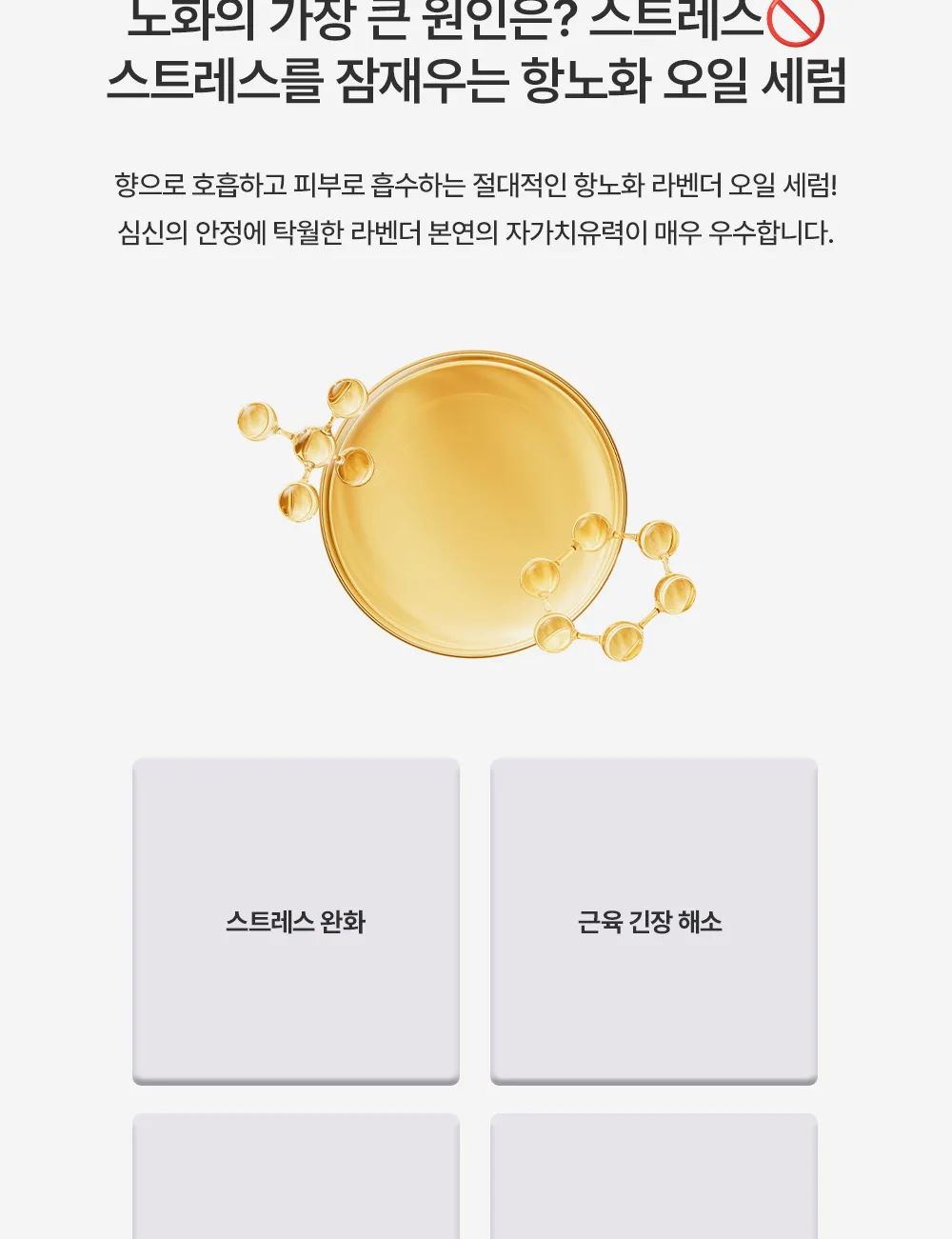 안전성 확인