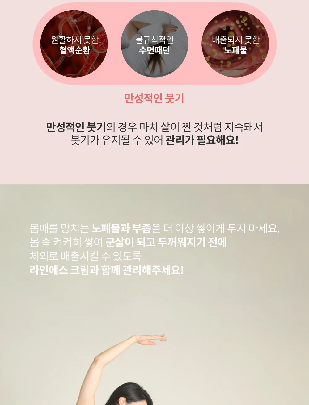 주요 성분 안내
