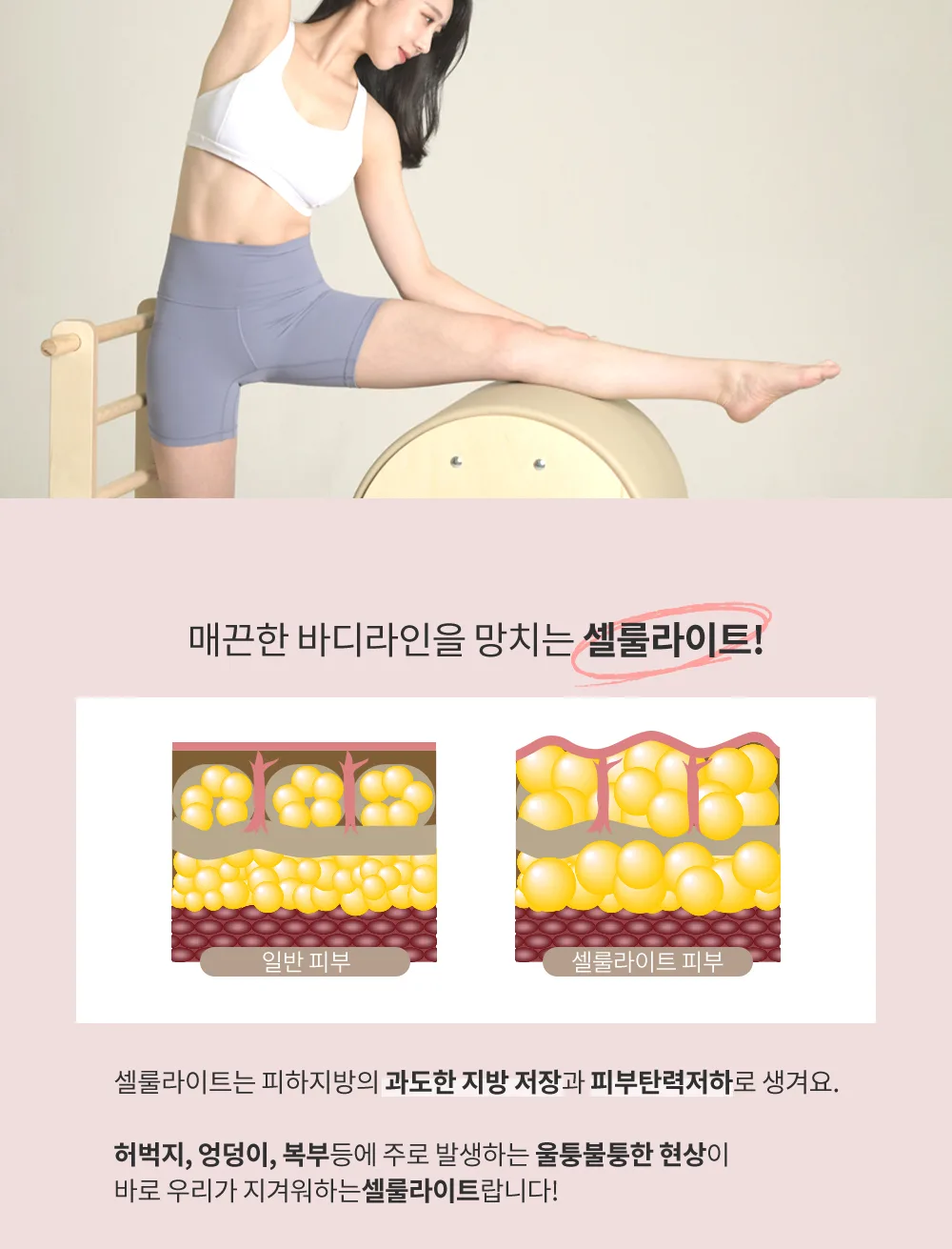 작용 원리