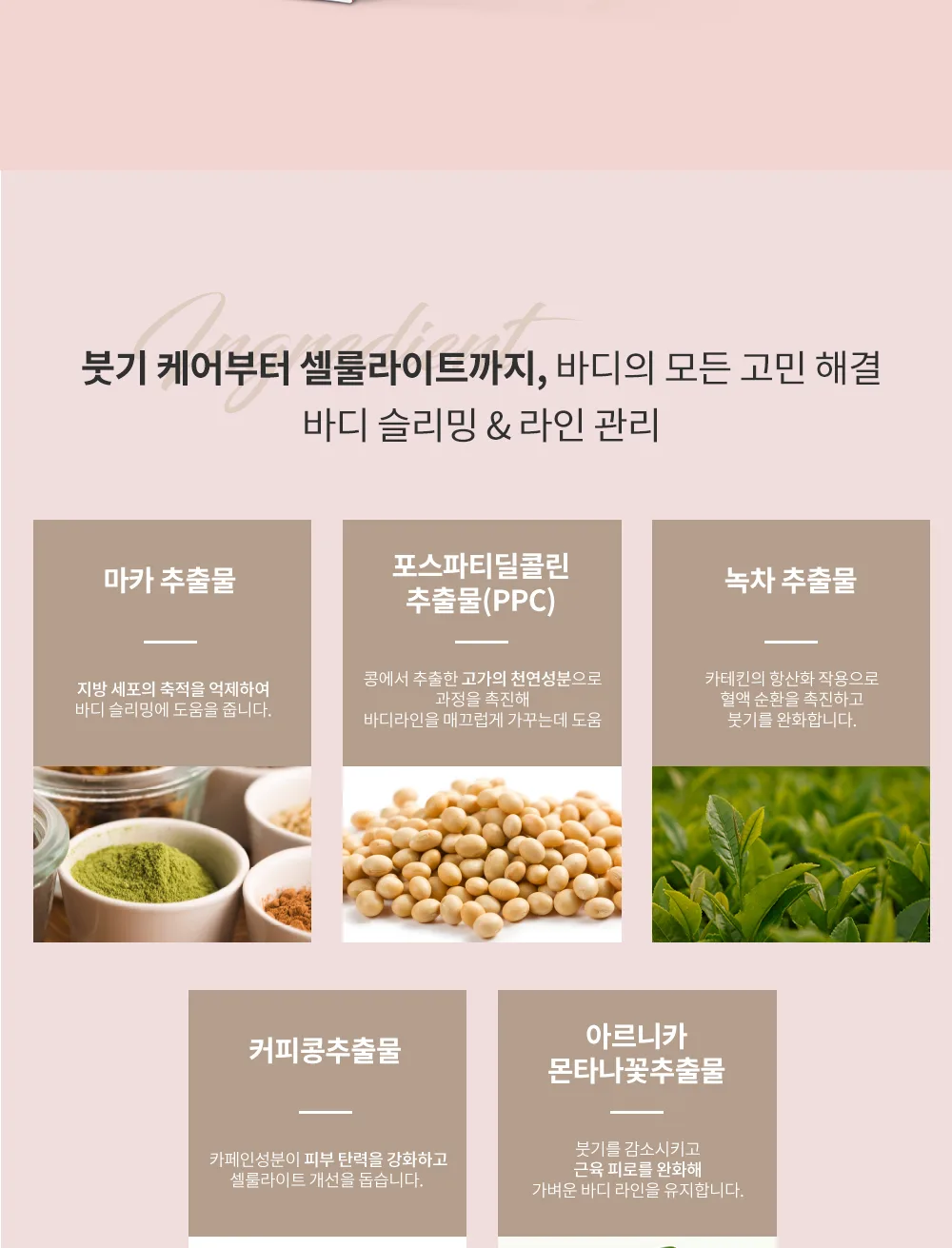 사용 가이드