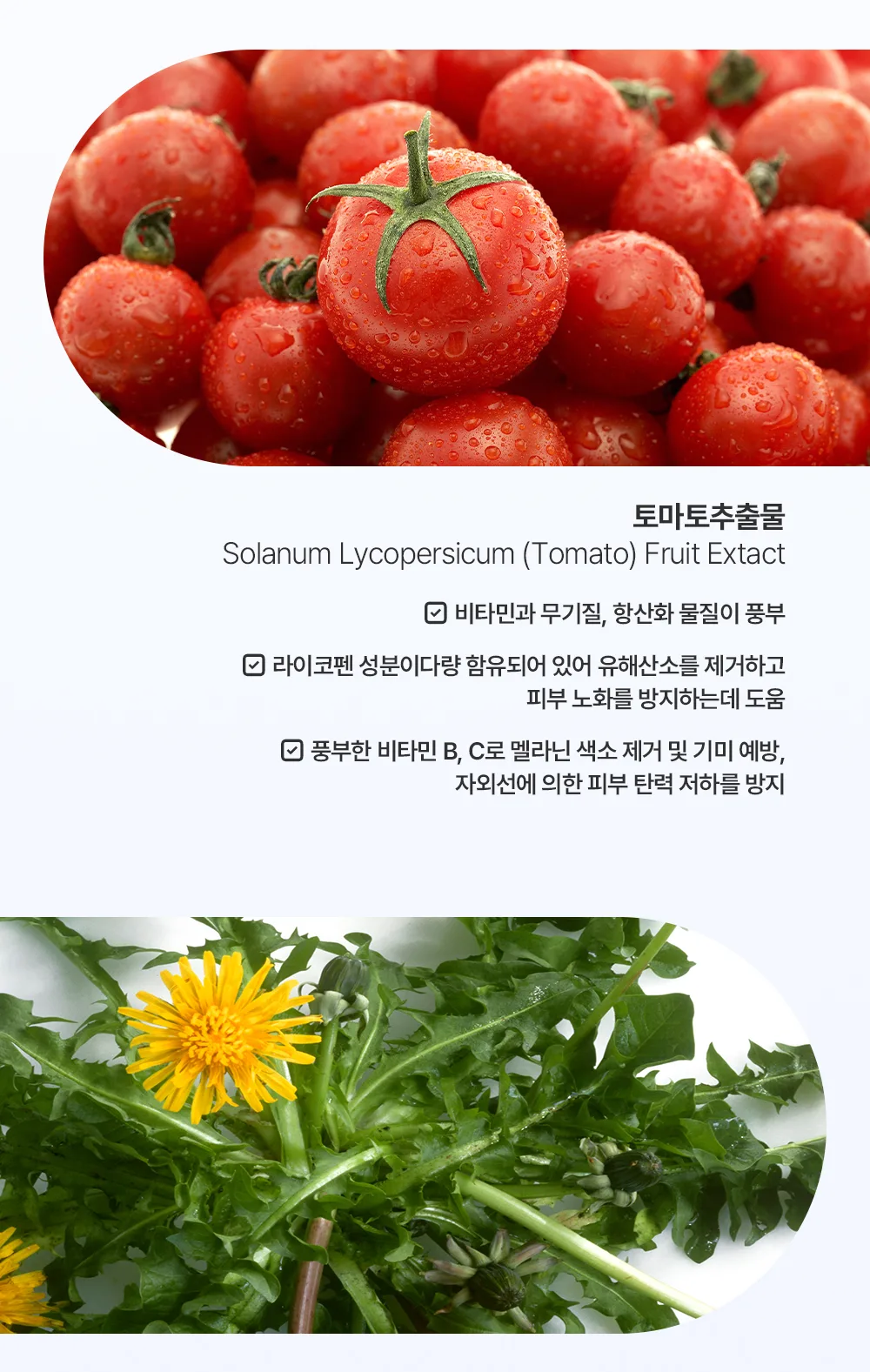 제형 상세2