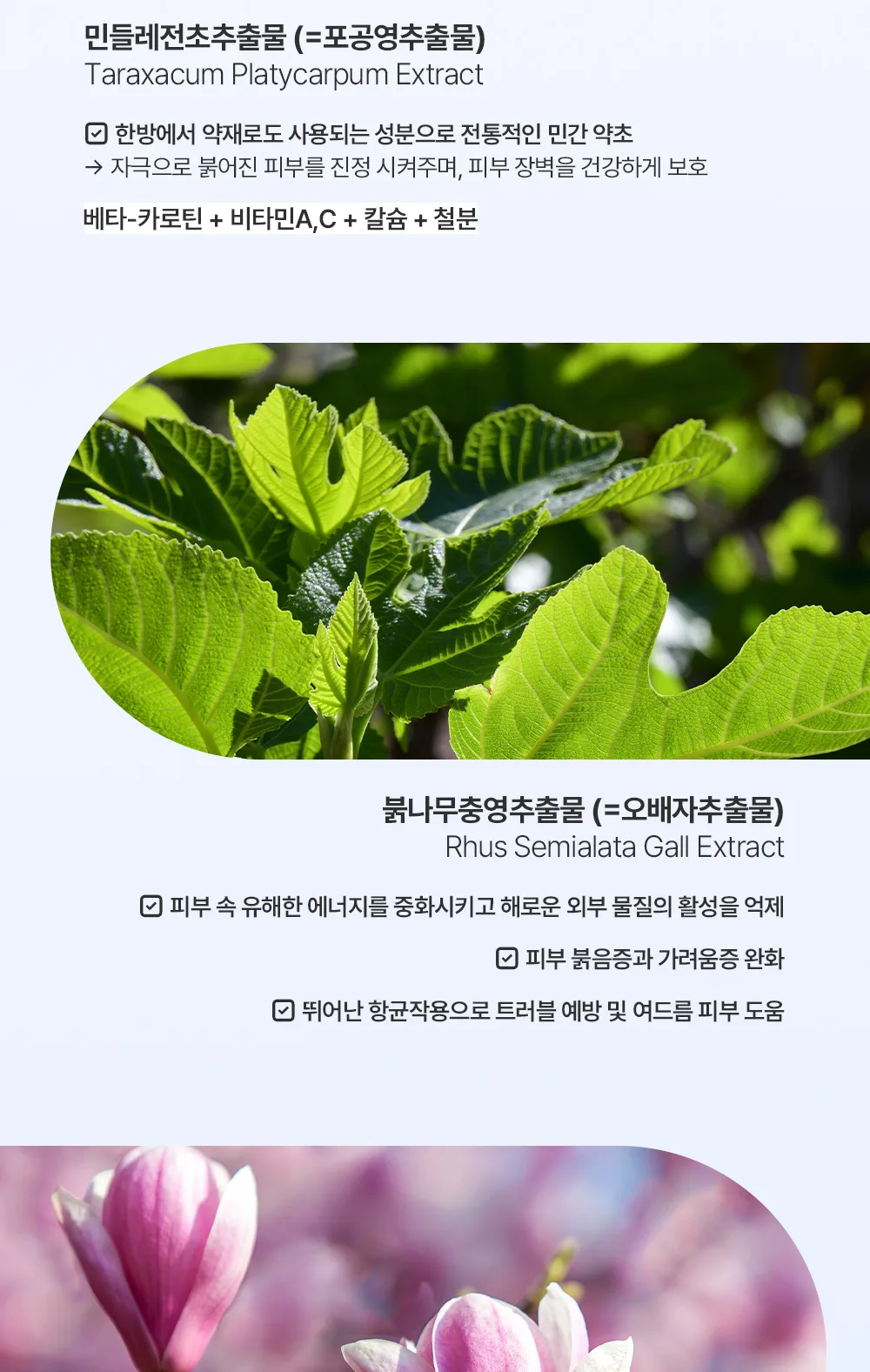 제형 상세3