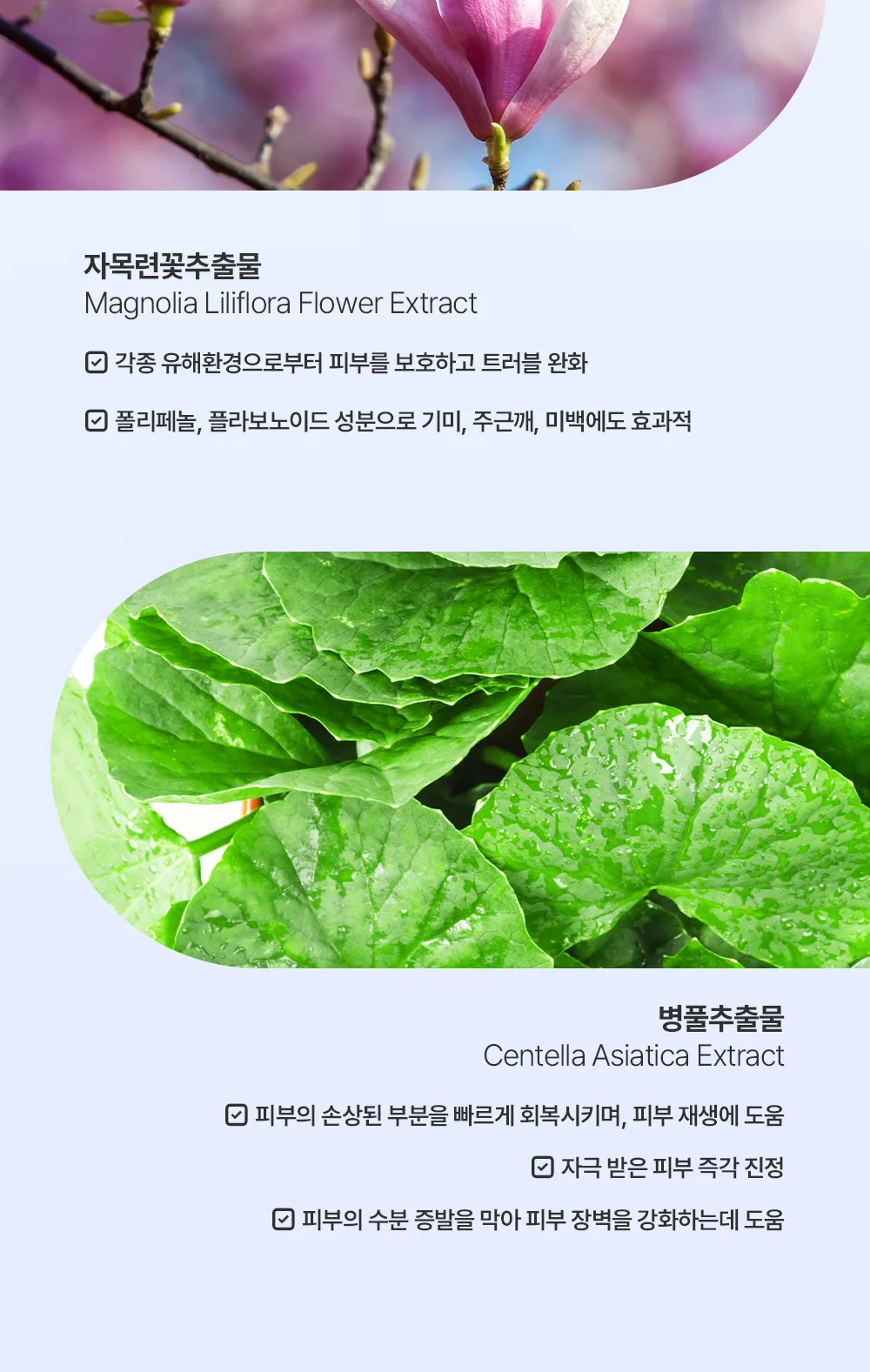 제형 상세4