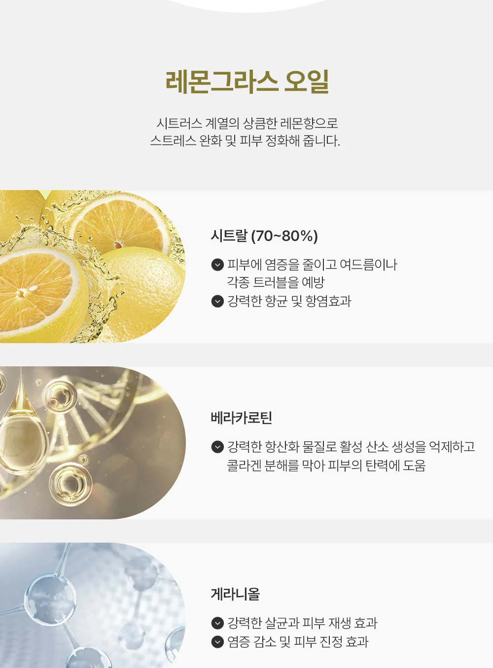 제형 테스트