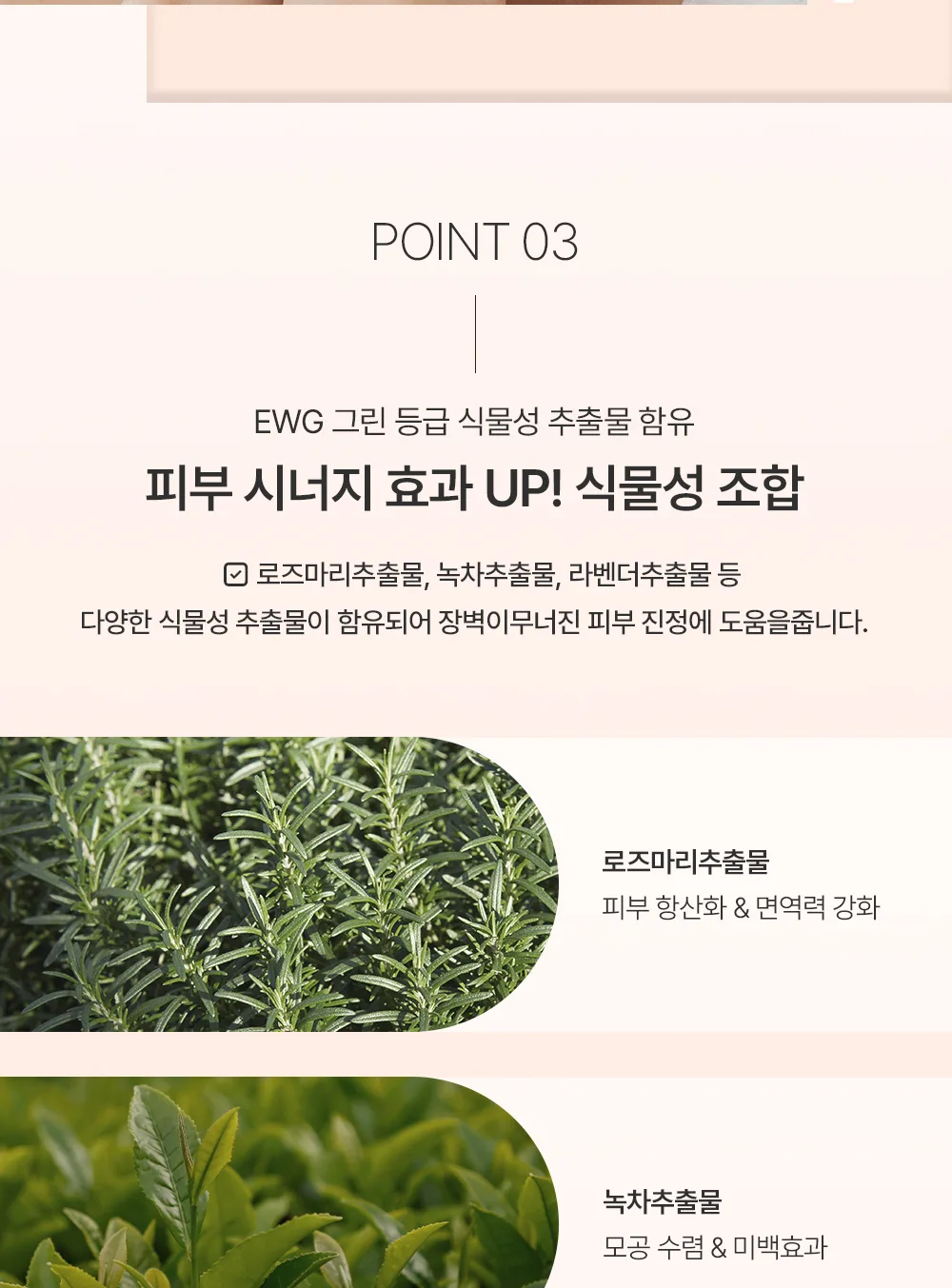 로션 토닉 로즈 대용량 상세 10