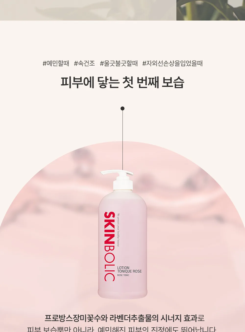 로션 토닉 로즈 대용량 상세 06