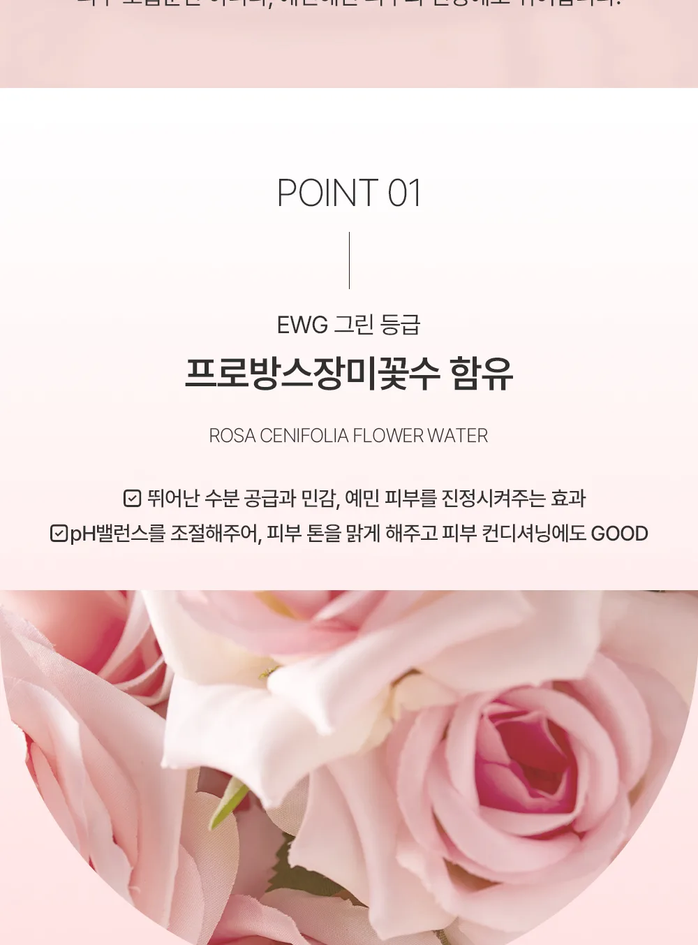 로션 토닉 로즈 대용량 상세 07