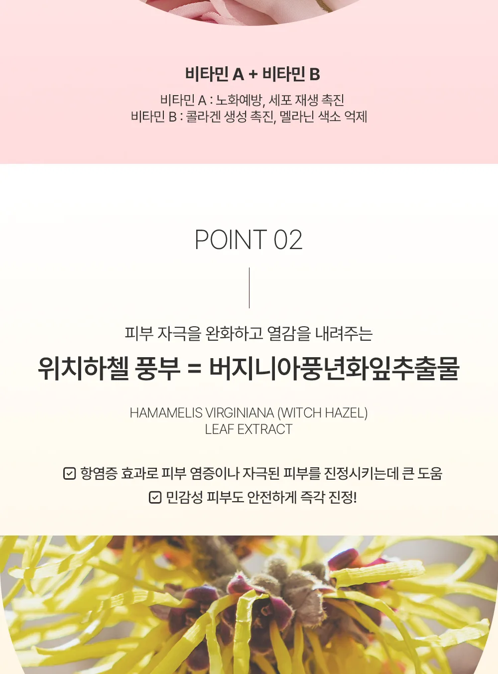 로션 토닉 로즈 대용량 상세 08