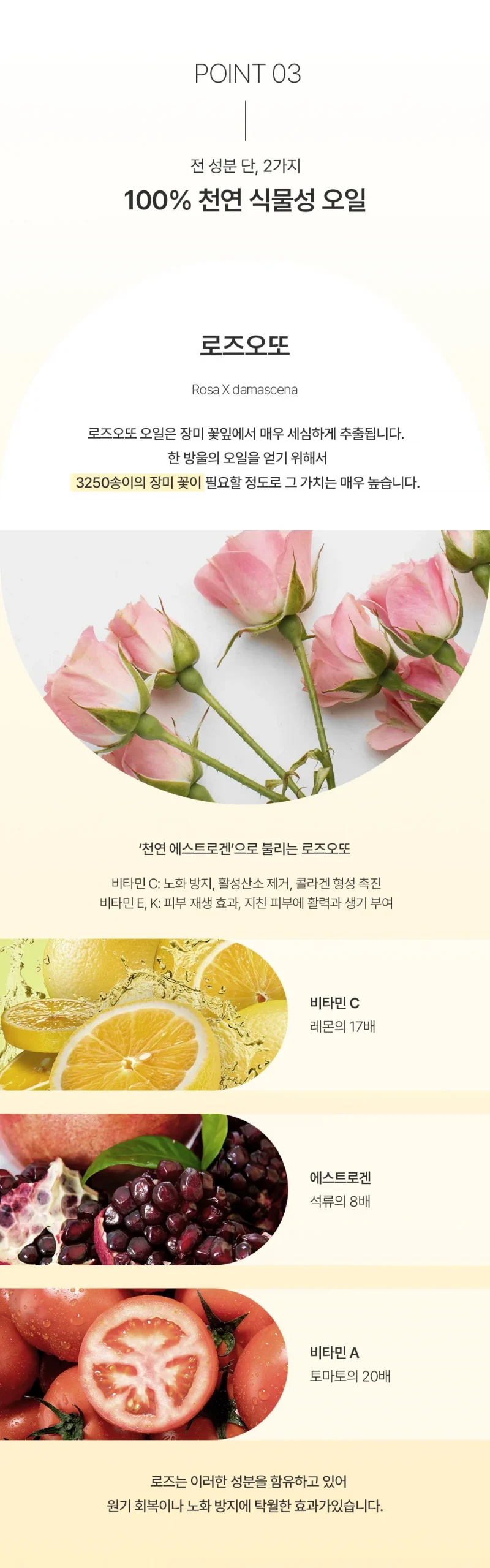 성분 안내
