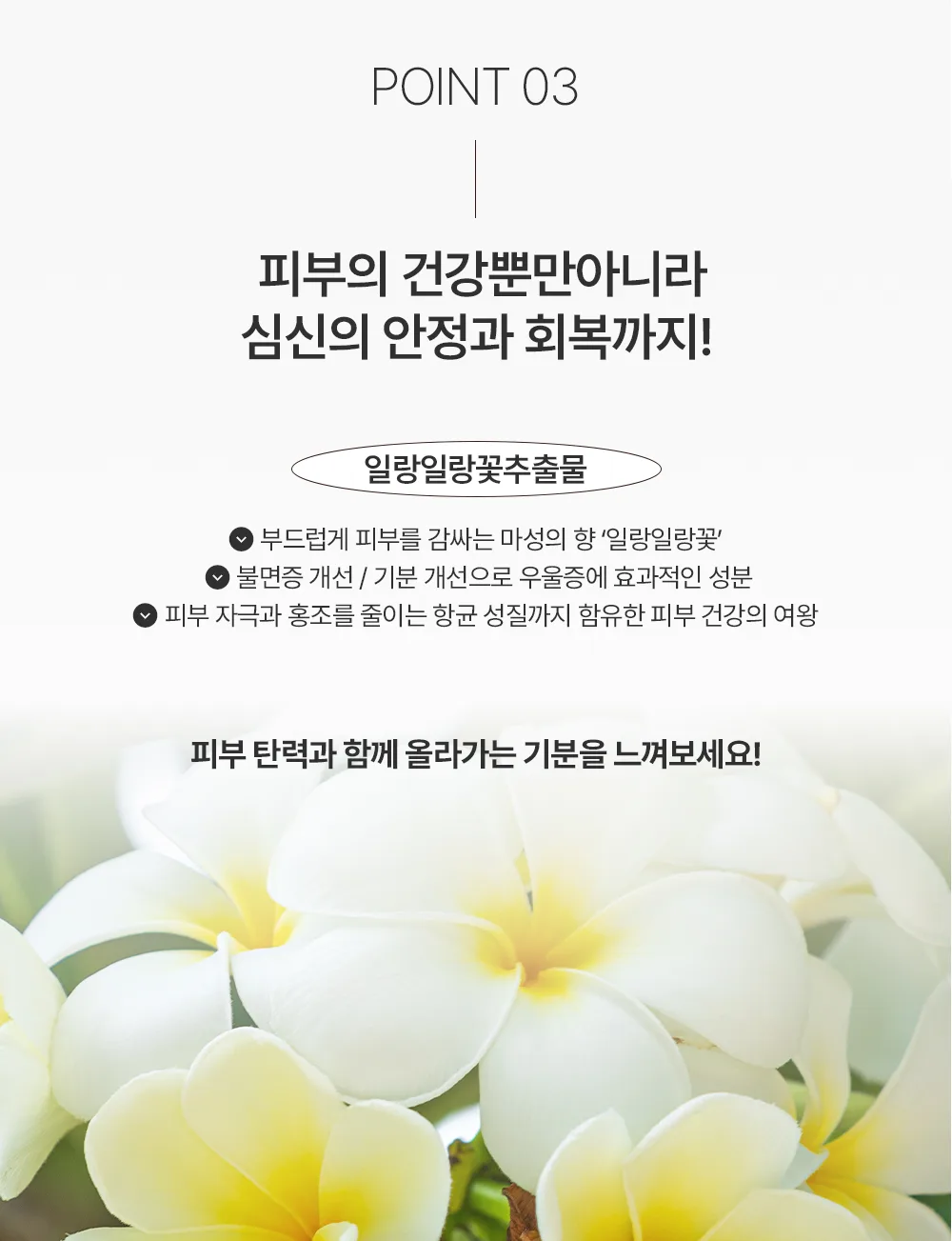 리페어 엔젤 상세 9