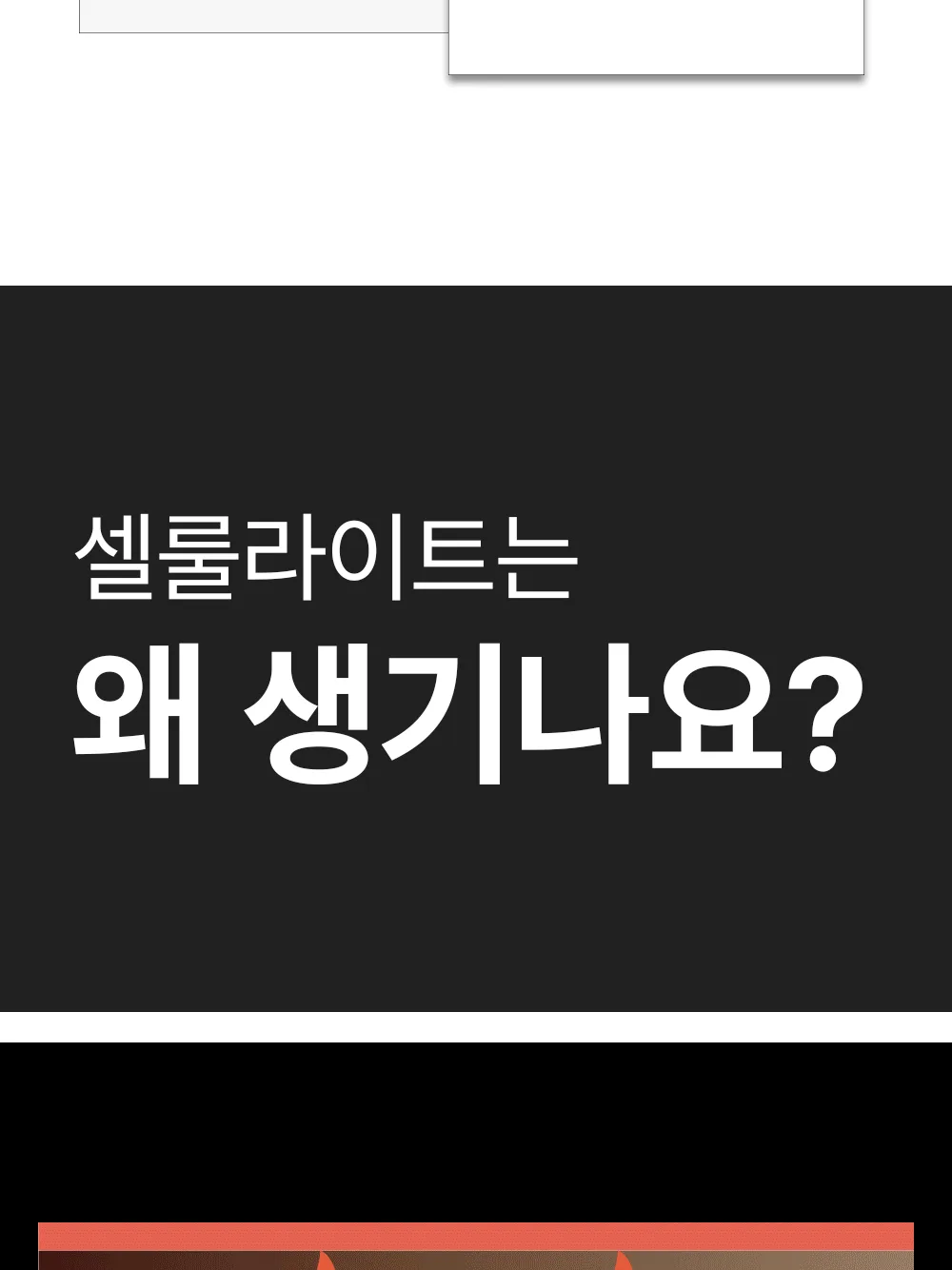 리포엘라 상세 1-16