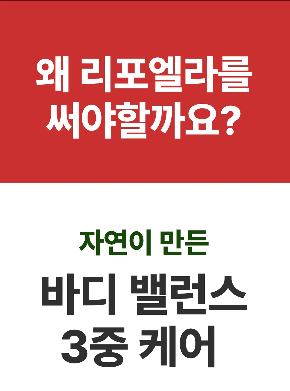 리포엘라 상세 2-1