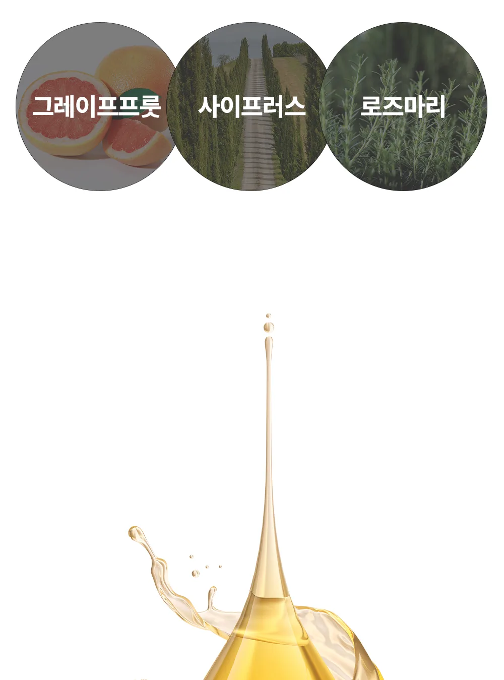 리포엘라 상세 2-2