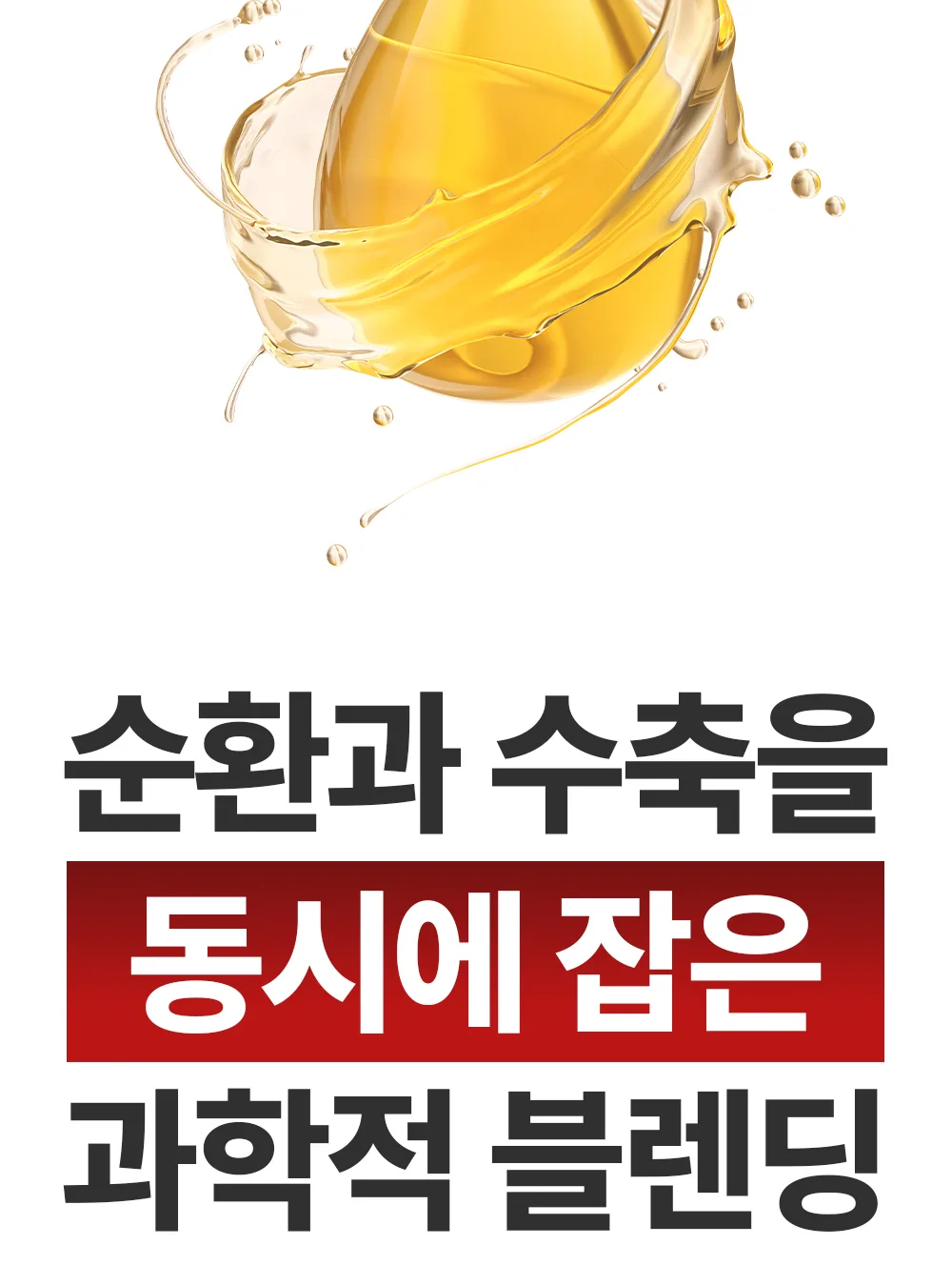 리포엘라 상세 2-3