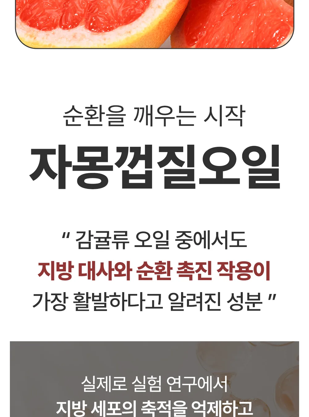 리포엘라 상세 2-6