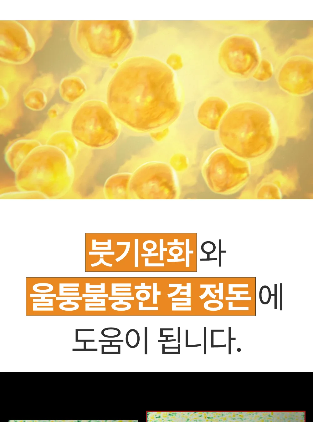 리포엘라 상세 2-8
