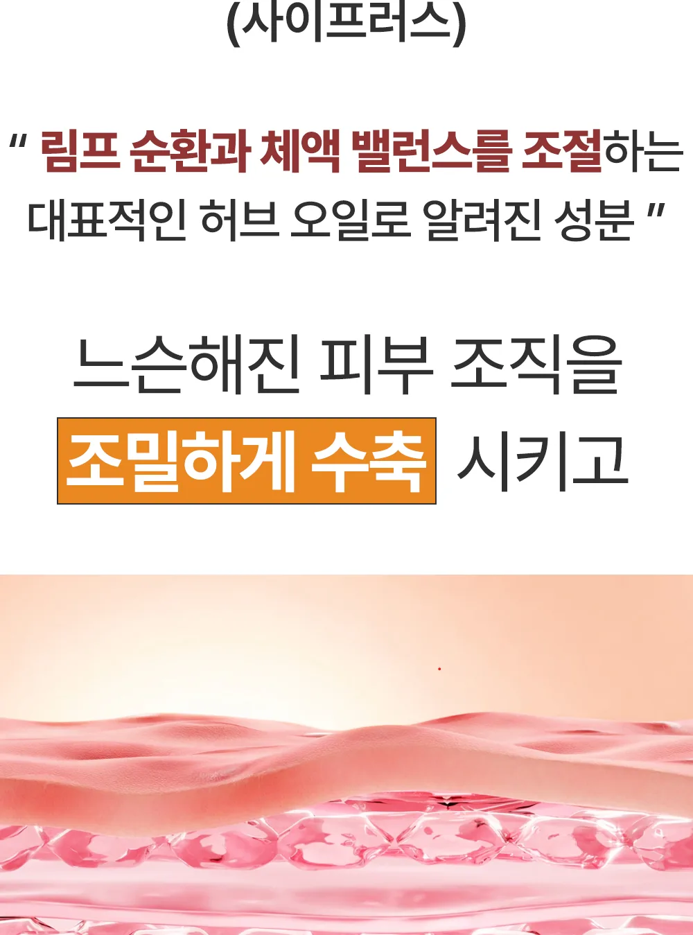 리포엘라 상세 2-11