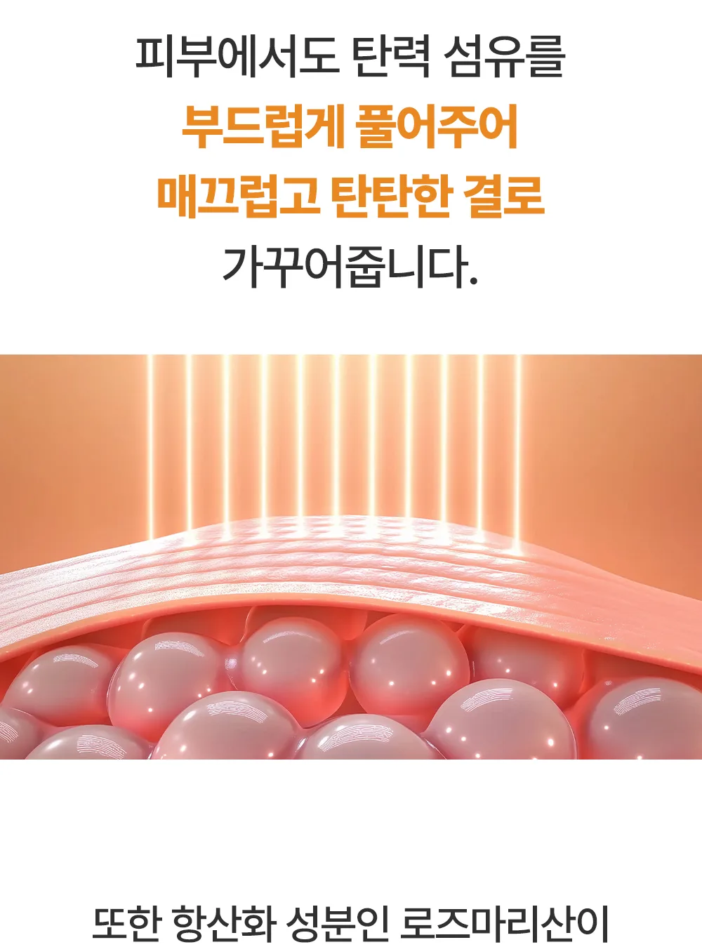 리포엘라 상세 2-15