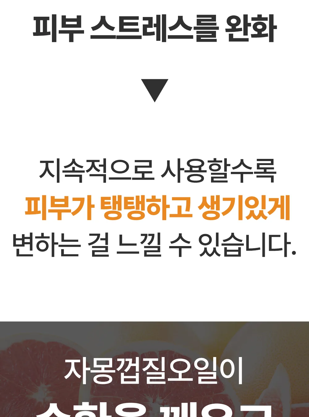 리포엘라 상세 2-16