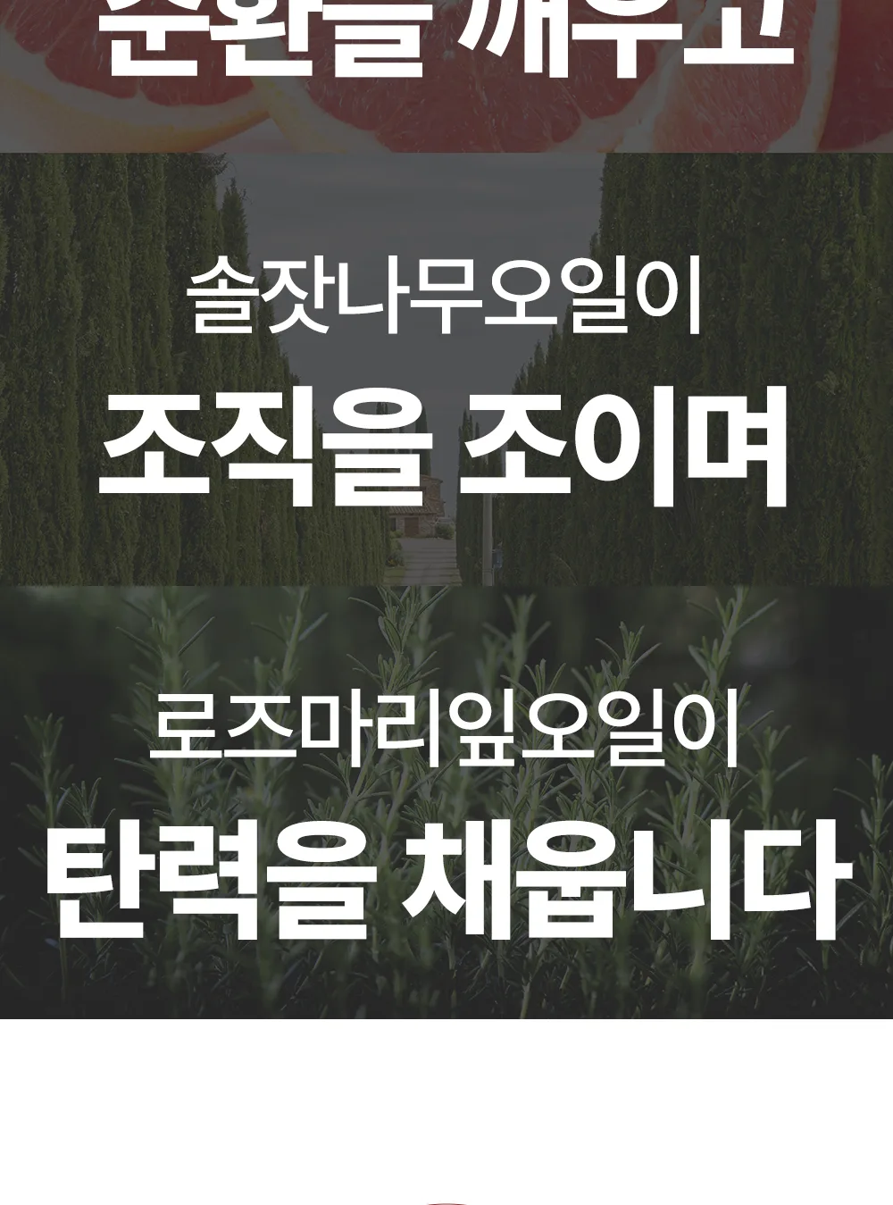리포엘라 상세 2-17