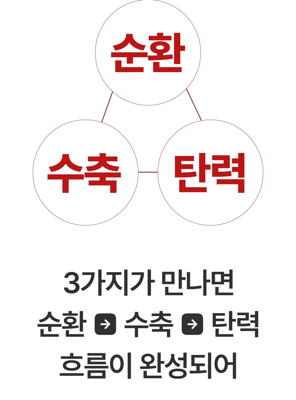 리포엘라 상세 2-18