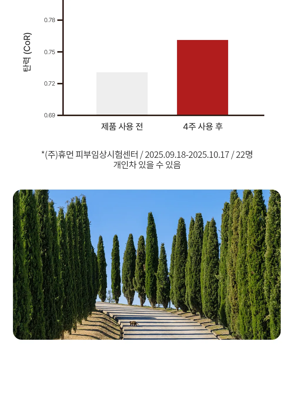 리포엘라 상세 3-4